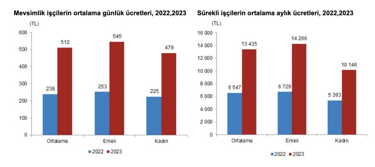 1710032853 804 Tarim iscilerinin gunluk ucreti 2023te 512 TL oldu